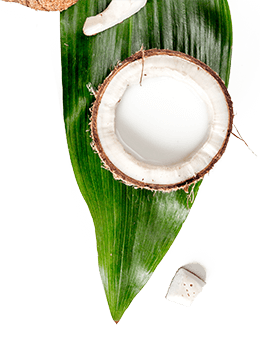 Solor&Soin - kokos na liściach